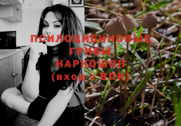 твердый Бородино
