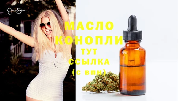 твердый Бородино
