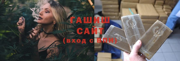 твердый Бородино