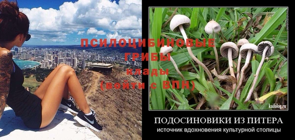 стафф Бугульма