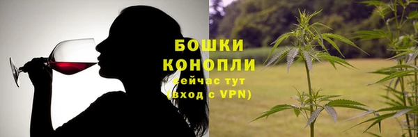 твердый Бородино