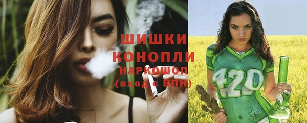 твердый Бородино