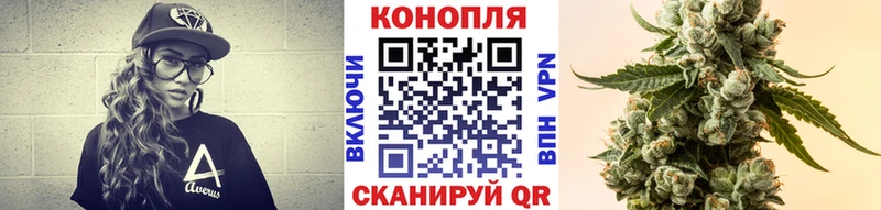 Купить закладки  Выборг  Конопля MAZAR 